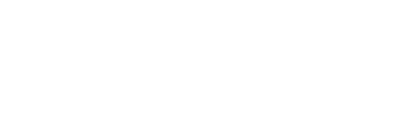 Virgite Logo